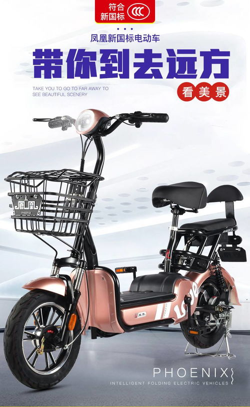 鳳凰新國(guó)標(biāo)電動(dòng)自行車鉛酸電池助力車男女成人小型代駕電瓶電動(dòng)車42v 12a 鴻途